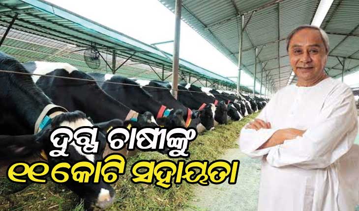 cm-naveen-patnaik-distributed-11-crore-to-milk-farmer-as-special-covid-assistance