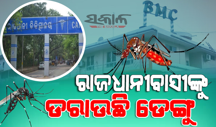 dengue patients is increasing in Bhubaneswar
