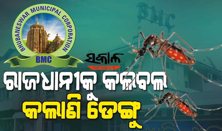 Dengue situation out of control in Bhubaneswar
