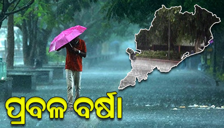 Heavy Rain In Odisha