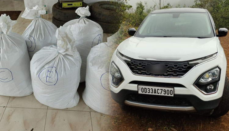 cannabis-worth 10 lakhs rupees with a car seized from koraput