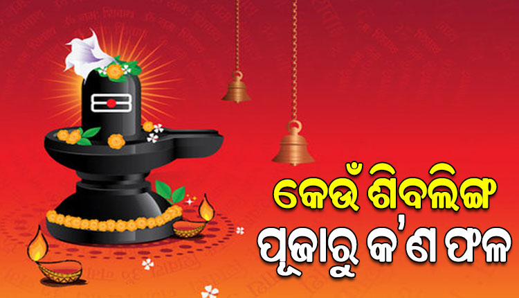Know what is the result of worshiping which Shivling